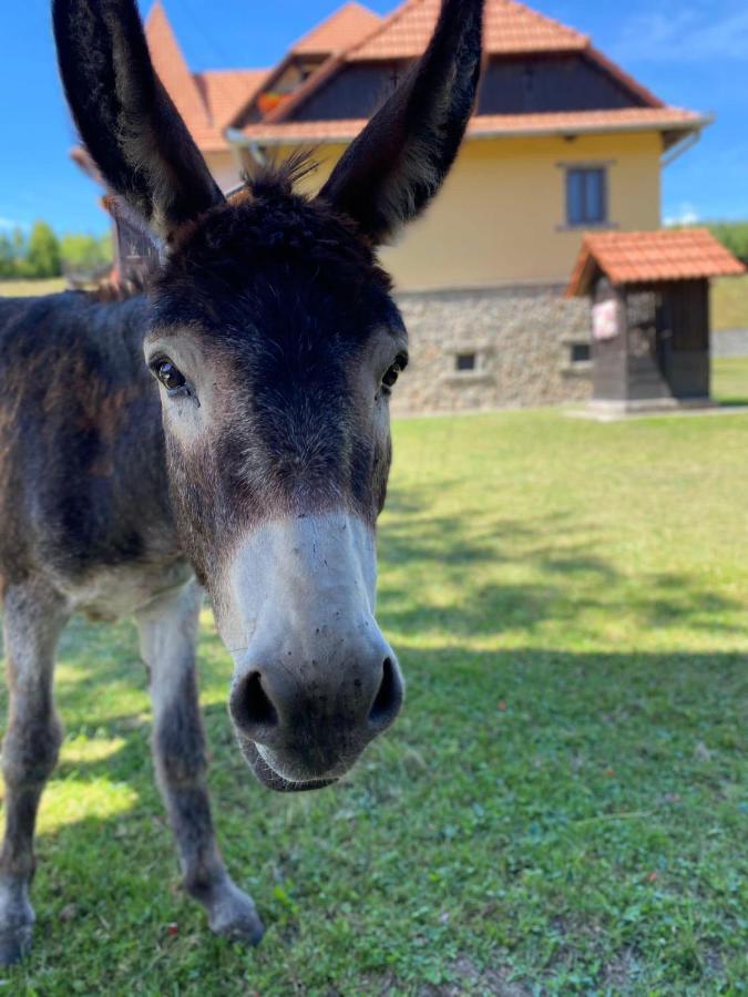 Villa Gherman Sălciua de Jos Esterno foto